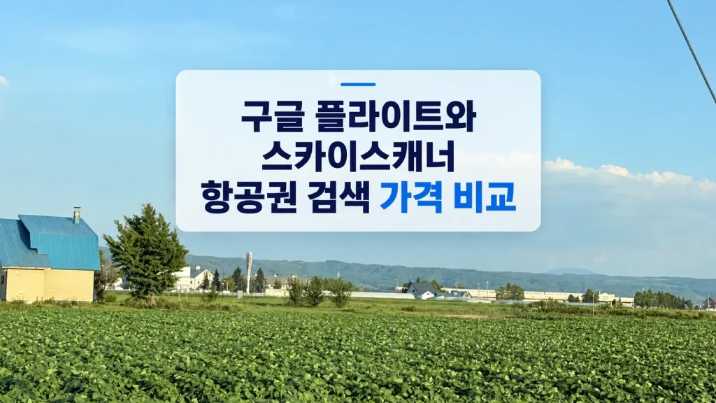 구글 플라이트와 스카이스캐너 항공권 검색 가격 비교